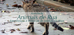 Associação Animais de Risco